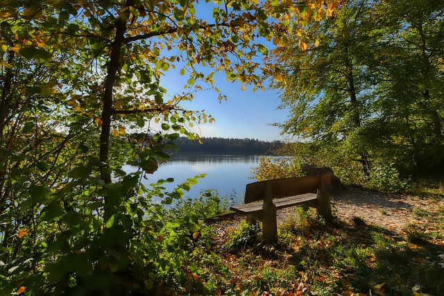 甲和欧洲赛 甲和欧洲赛