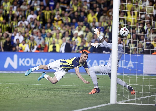 家已开始使 家已开始使