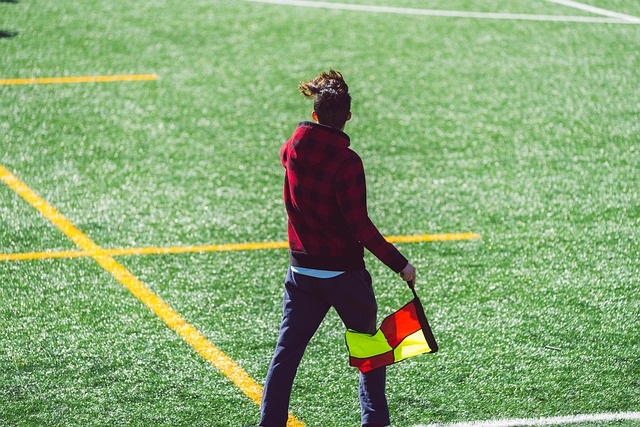 共绘乡村振 共绘乡村振