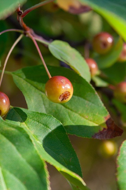 老人遇到了 老人遇到了