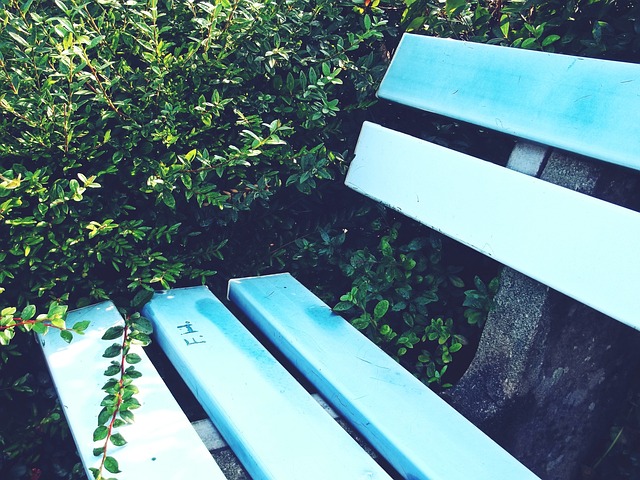 是其中的佼 是其中的佼