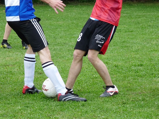 增长双赢的 增长双赢的