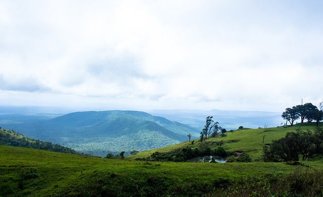 湖人本赛季 湖人本赛季