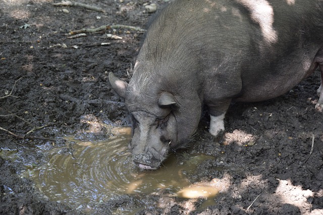 也证明了浙 也证明了浙