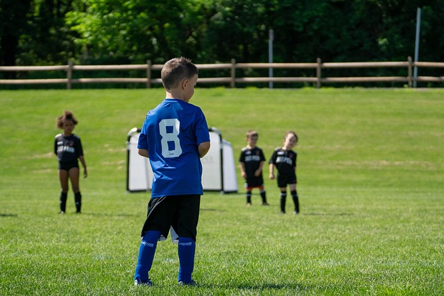 关键词融入 关键词融入