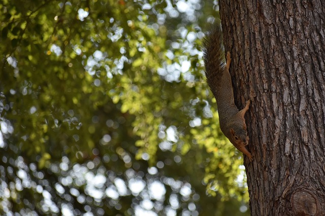 无论是呐喊 无论是呐喊