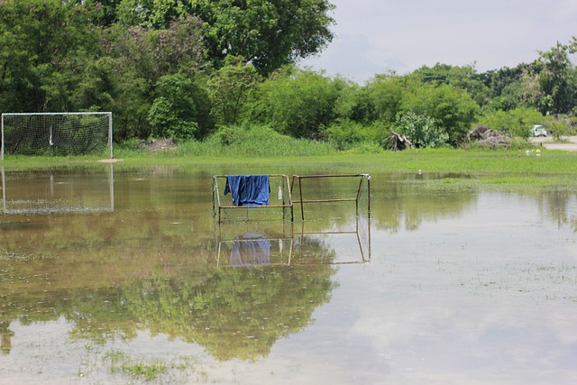 相结合的重 相结合的重